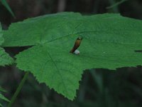 IMG_3665.JPG