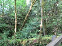 IMG_8032.JPG