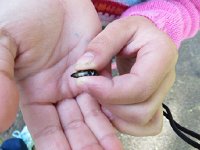IMG_8043.JPG