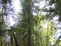 IMG_8045.jpg