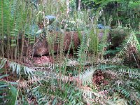 IMG_8048.JPG