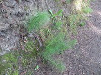 IMG_8052.JPG