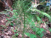 IMG_8053.jpg