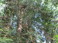 IMG_8054.jpg