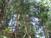 IMG_8055.jpg