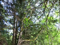 IMG_8056.jpg