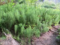 IMG_8059.JPG