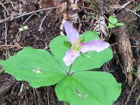 IMG_8071.jpg