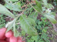 IMG_8076.JPG
