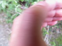 IMG_8079.JPG