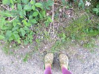 IMG_8080.JPG