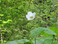IMG_8086.JPG