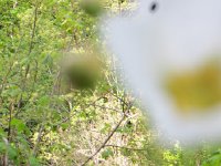 IMG_8087.JPG