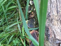 IMG_8096.jpg