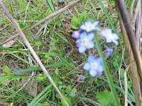 IMG_8098.jpg