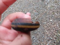 IMG_8104.JPG