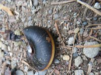 IMG_8105.jpg