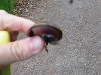IMG_8106.JPG