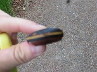 IMG_8107.JPG