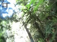 MVI_2315.mp4