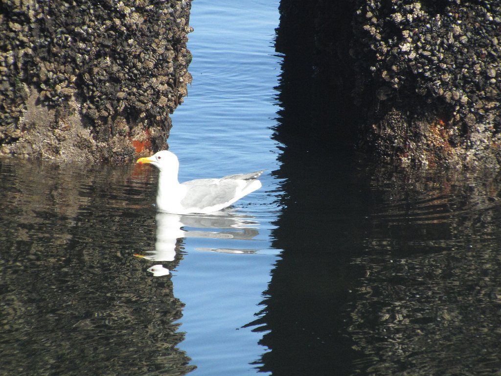 IMG 3390