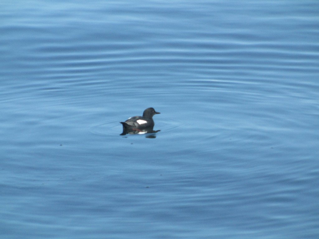 IMG 3391
