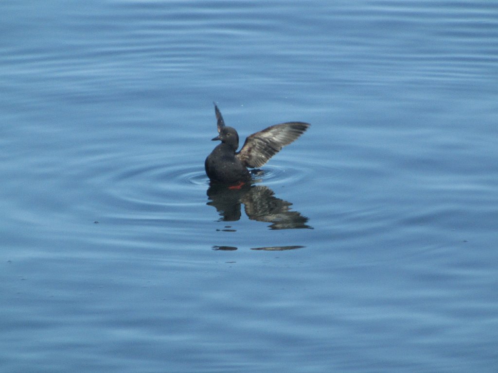 IMG 3392