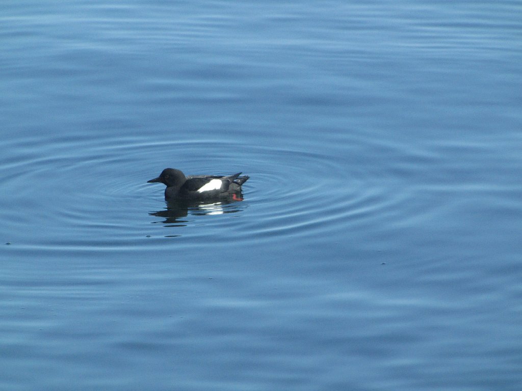 IMG 3393