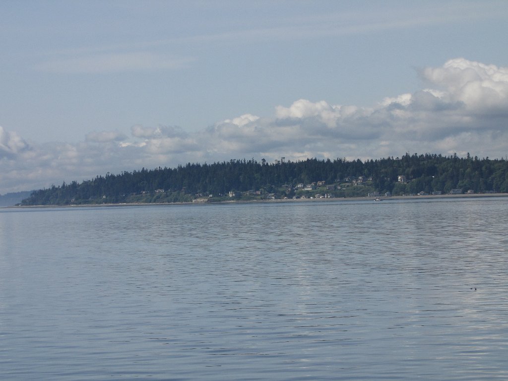 IMG 3418
