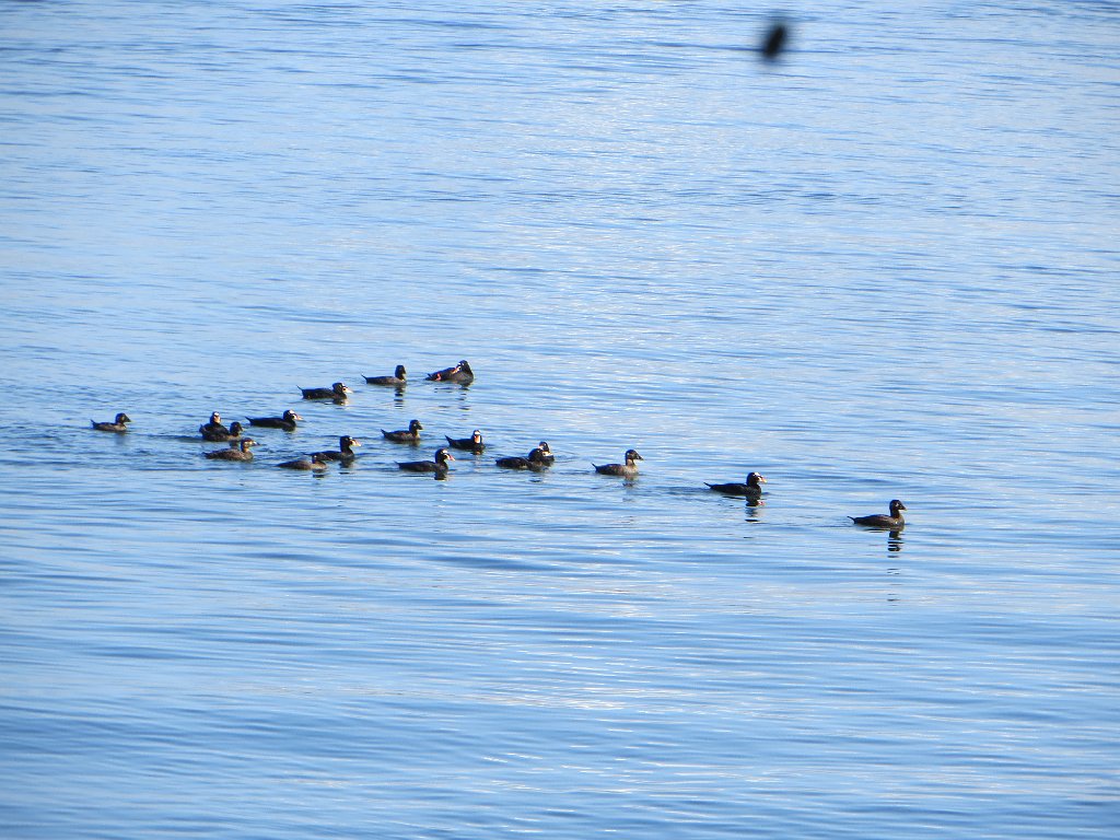 IMG 7838