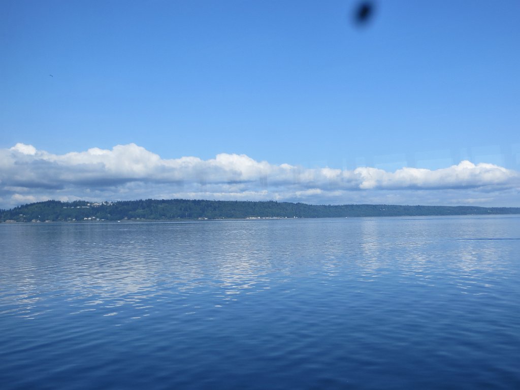 IMG 7847