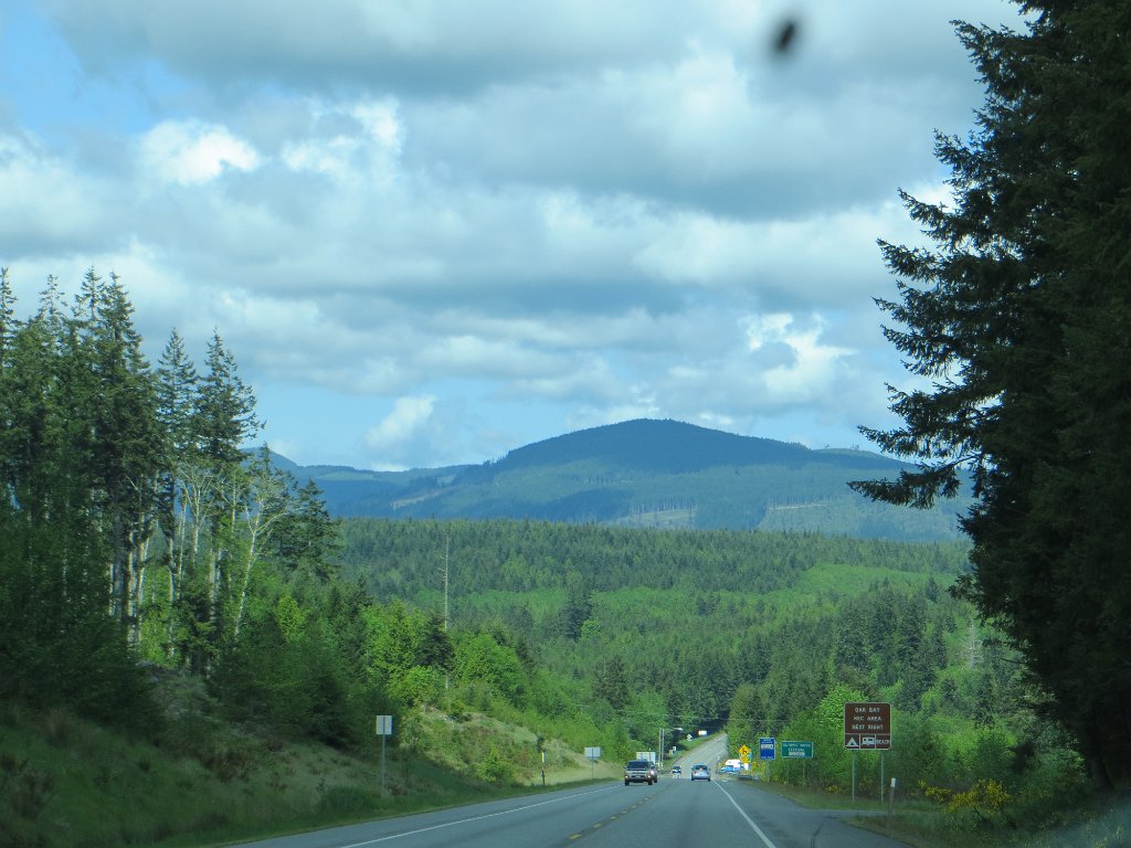 IMG 7861