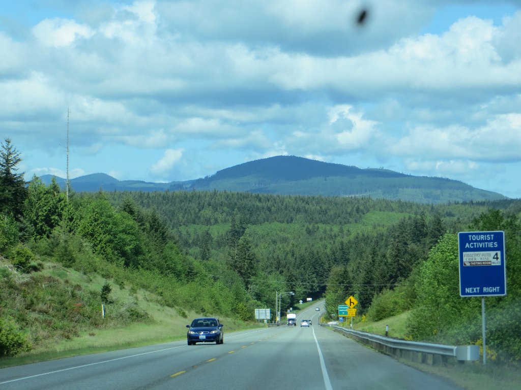 IMG 7864