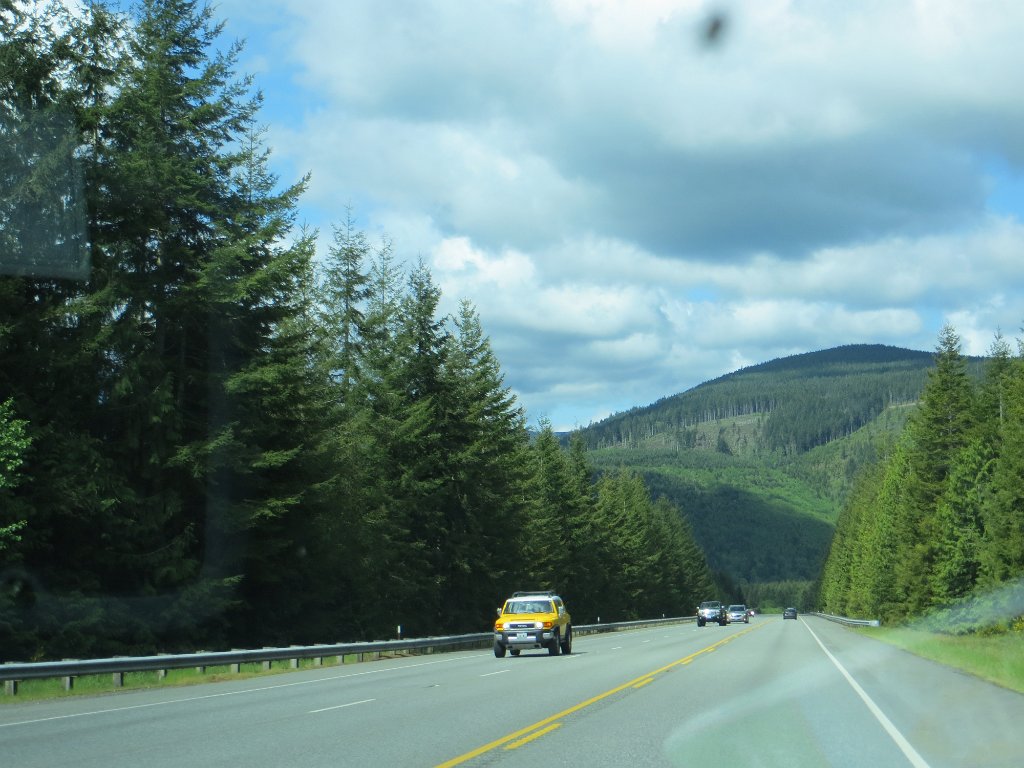 IMG 7867
