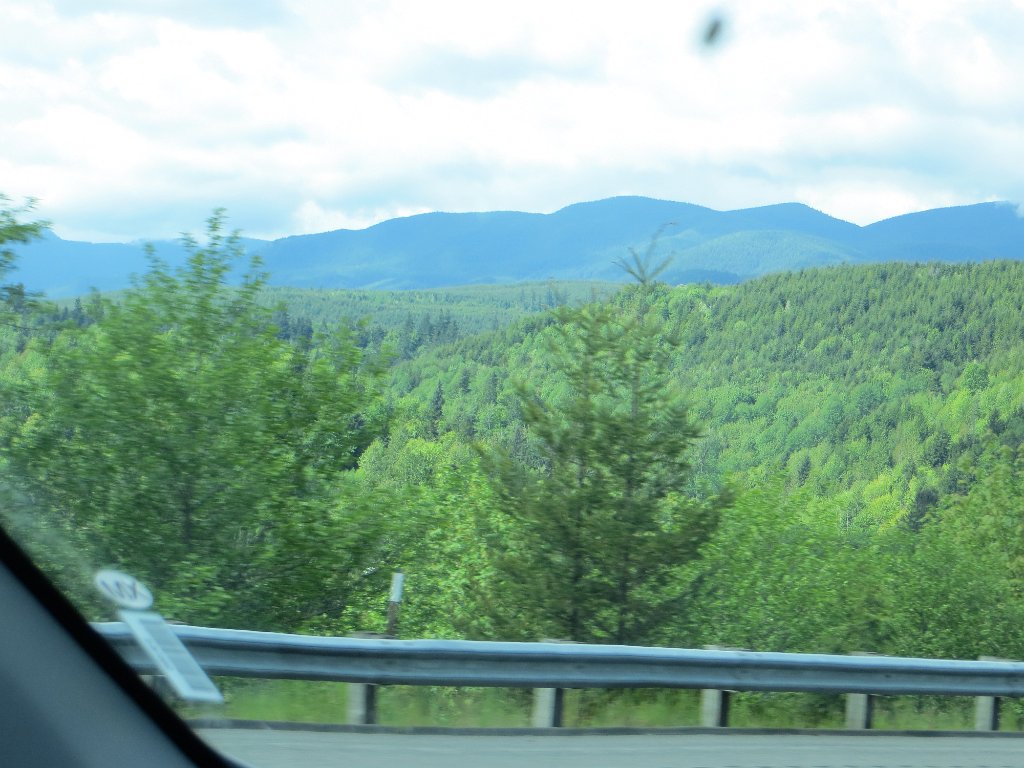 IMG 7873