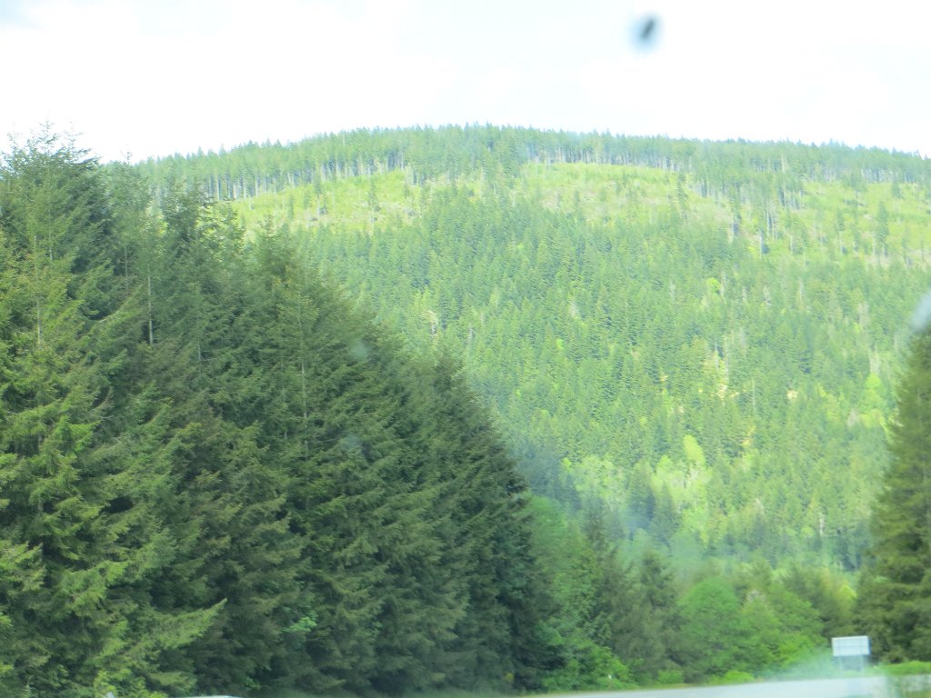 IMG 7875