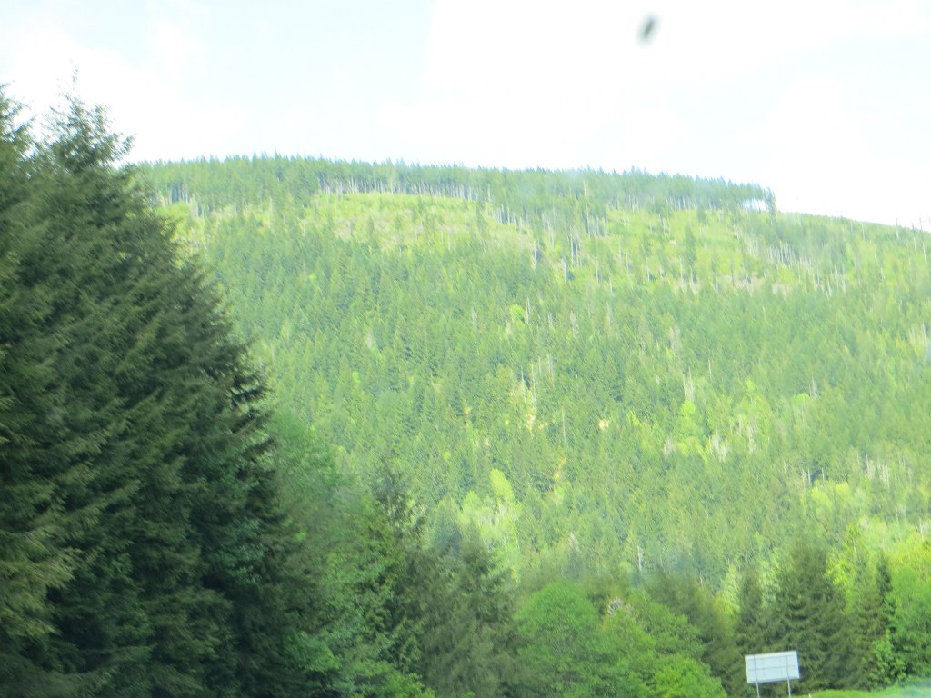 IMG 7876