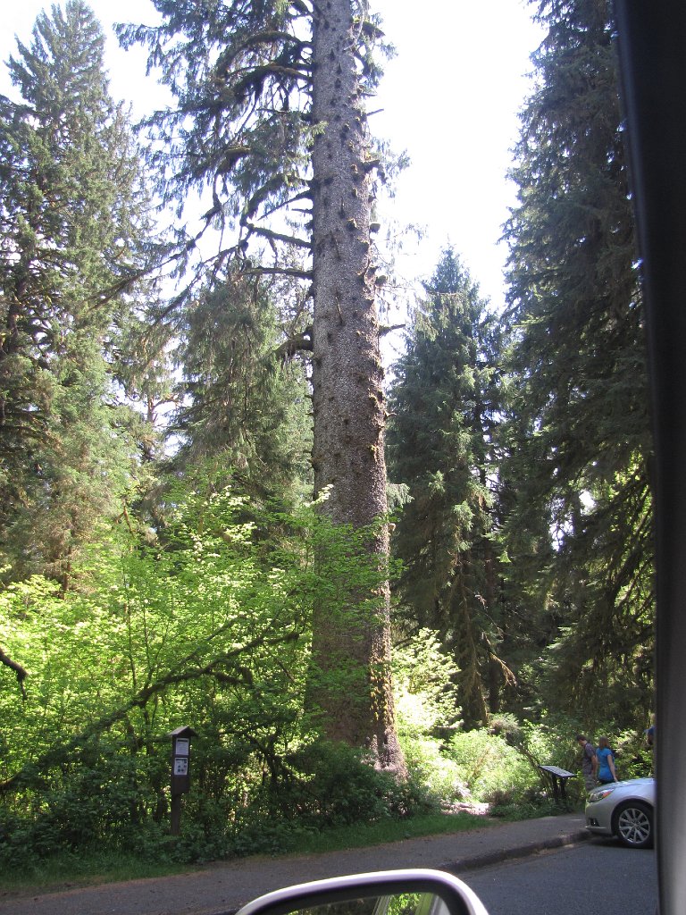 IMG 3871
