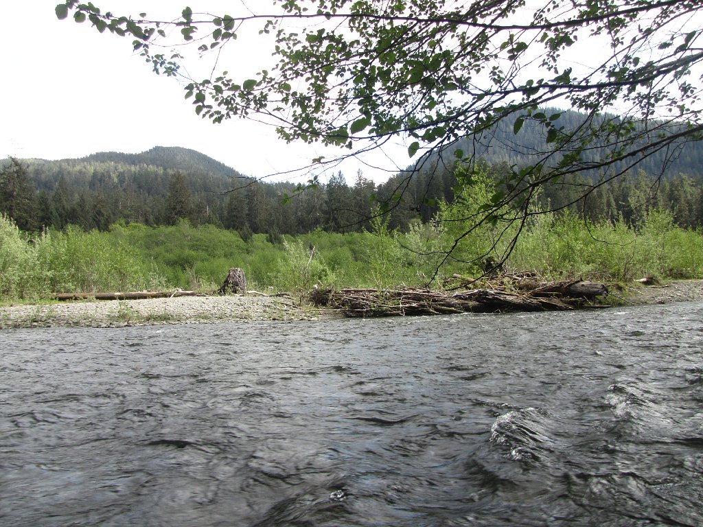 IMG 3891