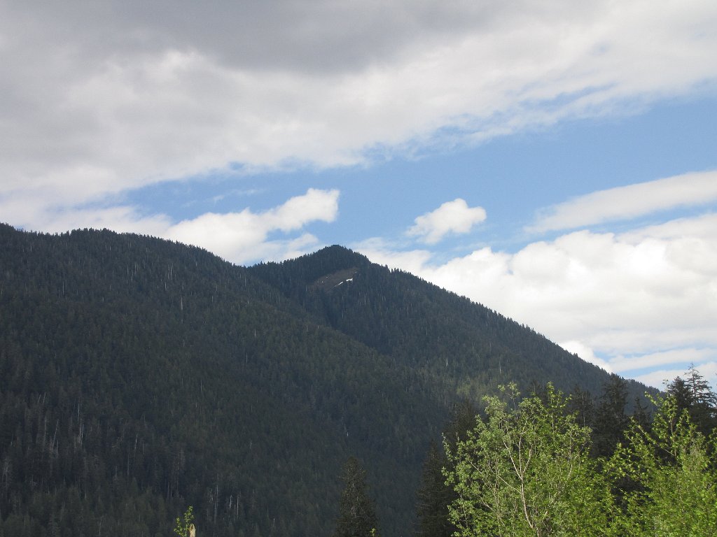 IMG 3924