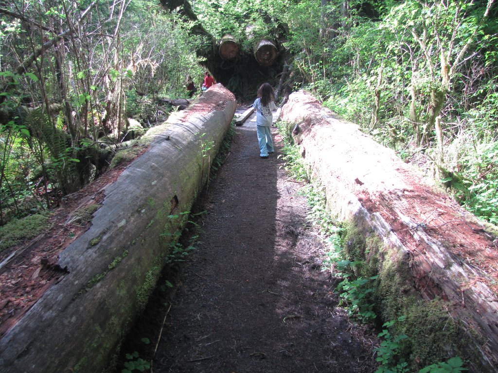 IMG 3943