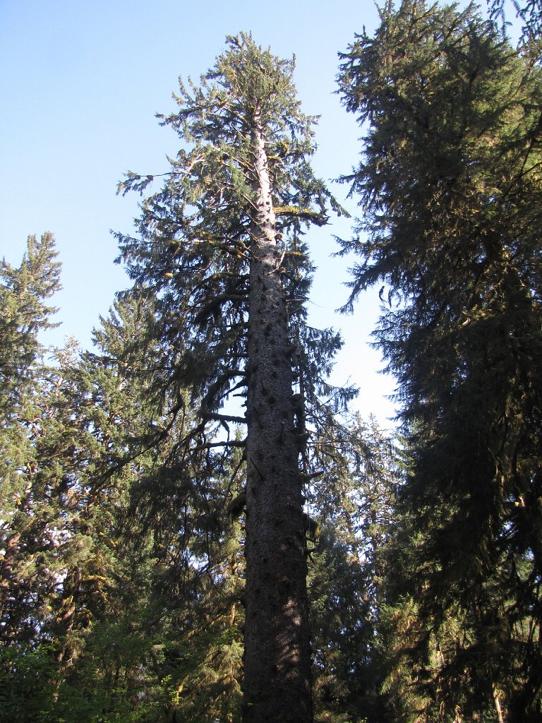 IMG 3959