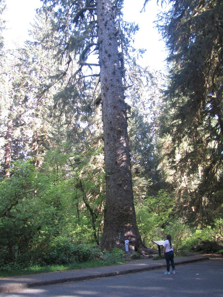 IMG 3960