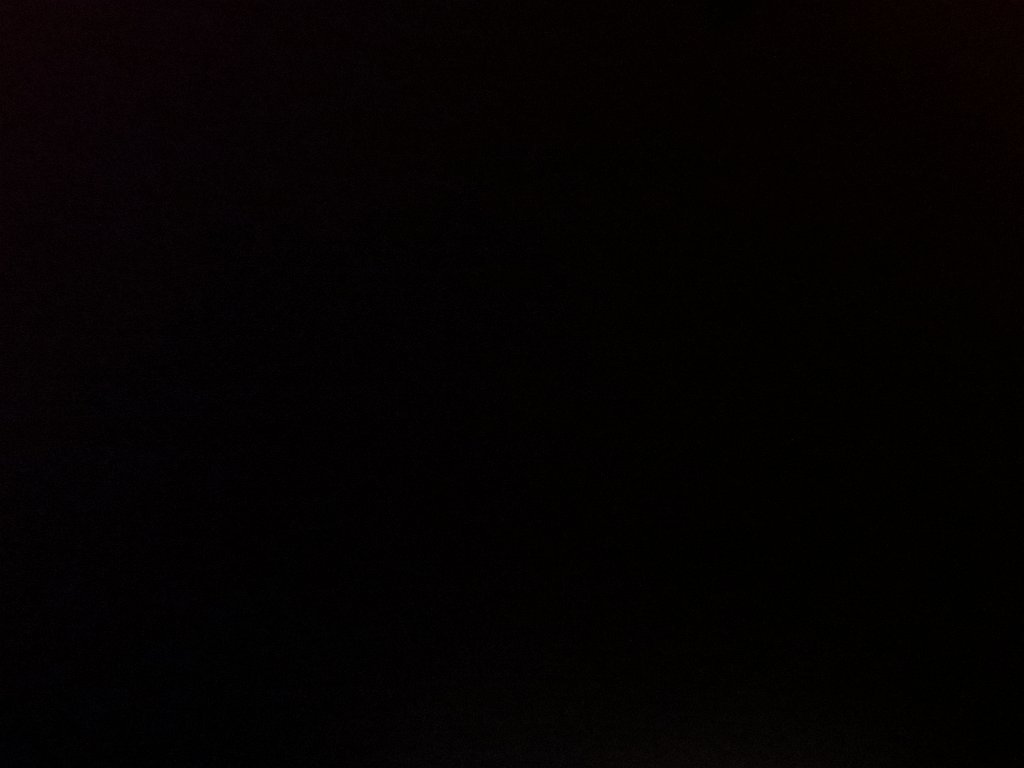 IMG 8231