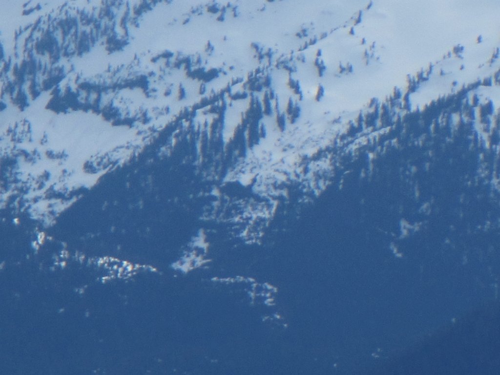 IMG 2307