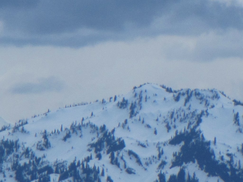 IMG 2310