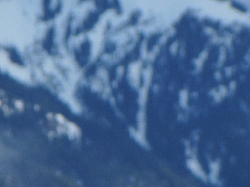 IMG 2313