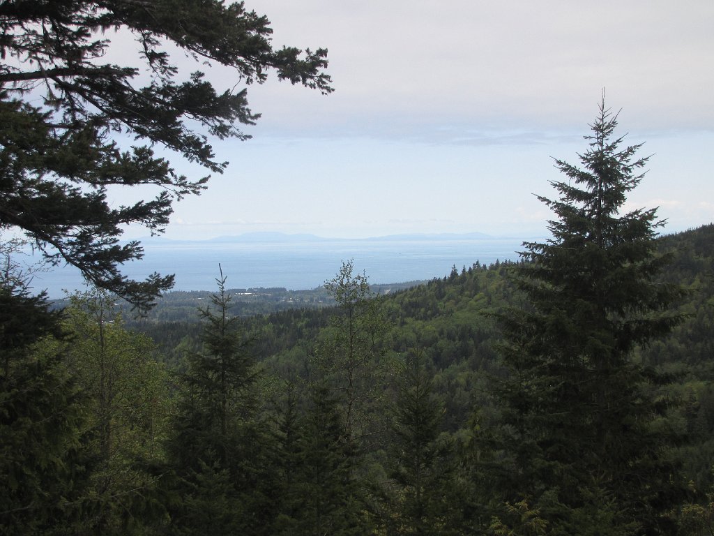 IMG 3465
