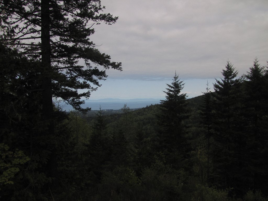 IMG 3468