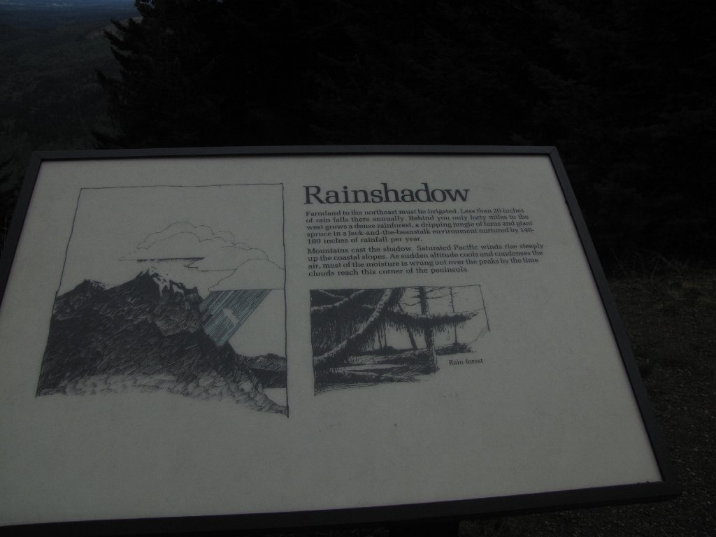 IMG 3471
